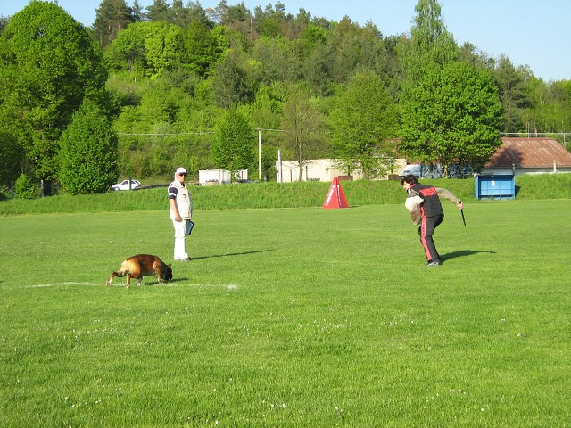 www.atibox.net * www.euroboxer.eu * www.boxergenealogia.eu